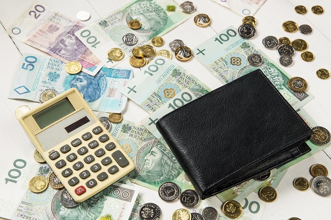 Dyrektywa płacowa: Czy w ogłoszeniach o pracę będzie informacja o wynagrodzeniu? Ekspert tłumaczy 