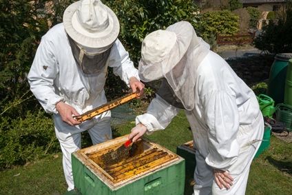 Działy specjalne z obowiązkowym limitem przejścia na księgi rachunkowe