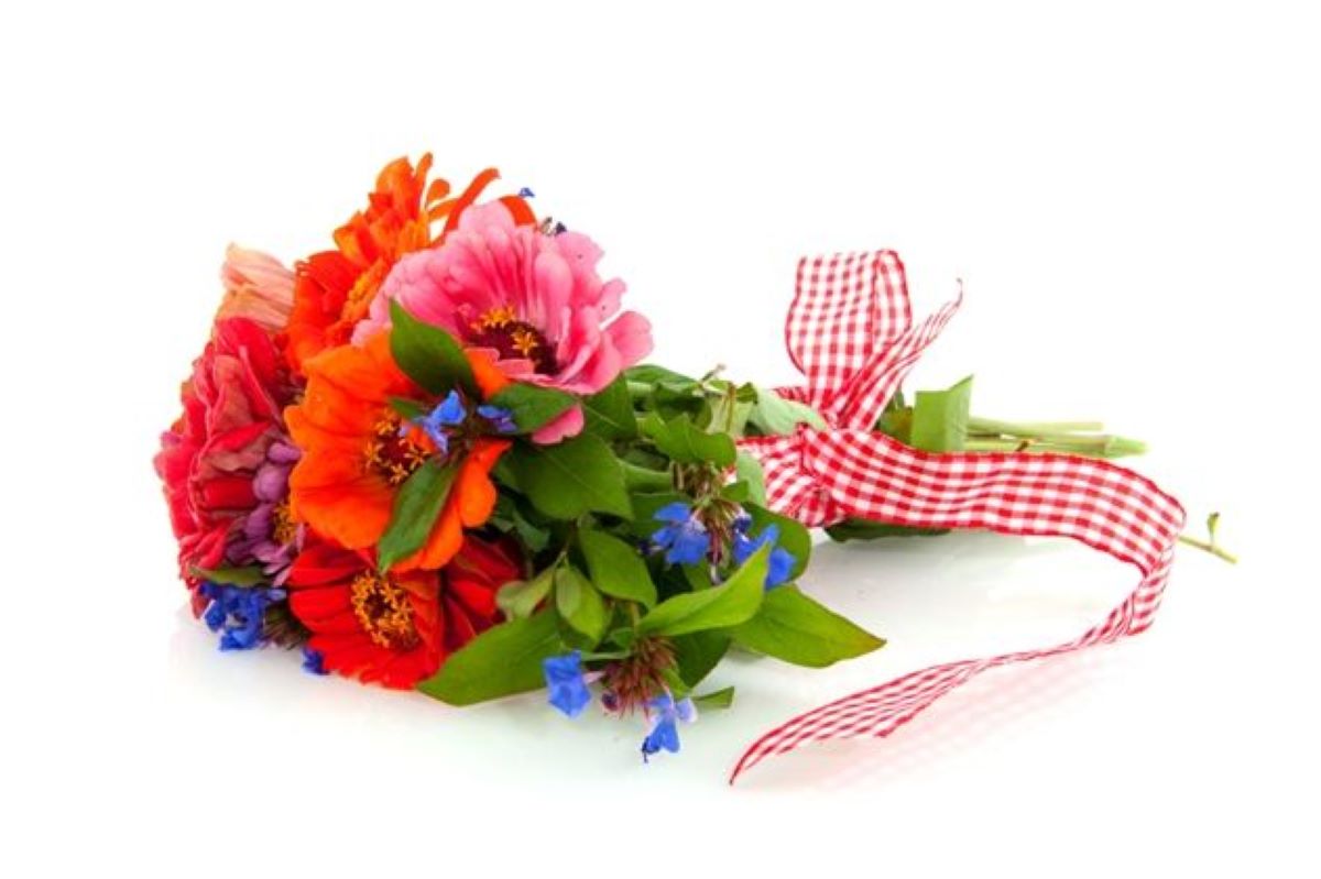 9 czerwca Dzień Księgowego. Doceniamy ich pracę i zaangażowanie