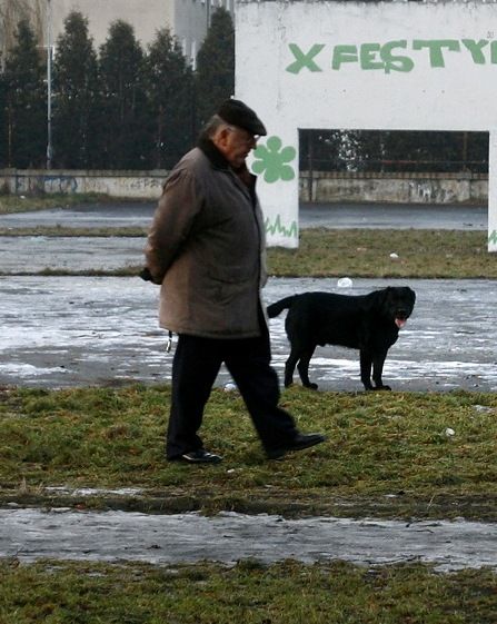 Zakaz pracy dla emerytów zwiększy „szarą strefę”?