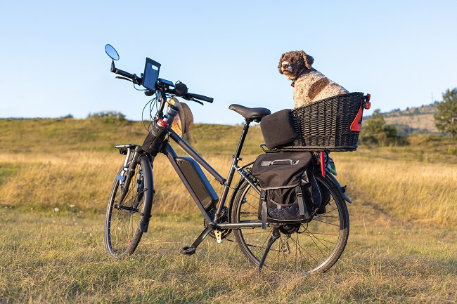 Dofinansowanie zakupu roweru elektrycznego. Program mój rower elektryczny