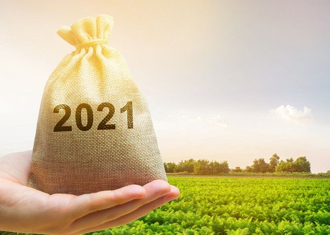 podatek leśny i rolny za 2021 r.