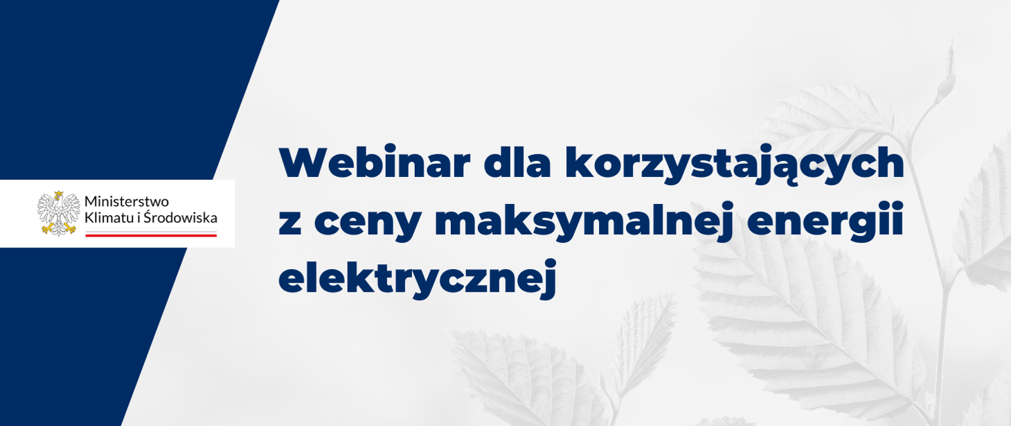 Webinar ceny energii 2025
