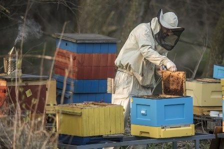 Limity przychodów z działów specjalnych produkcji rolnej 2016