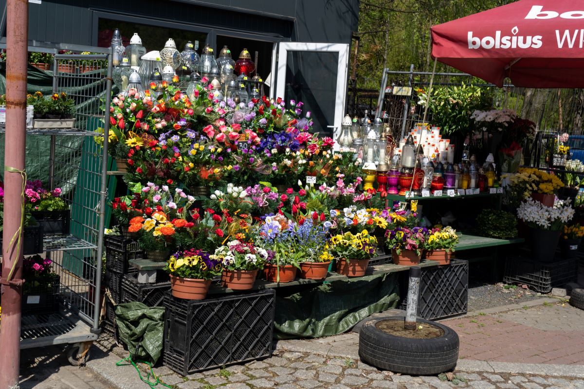 Święto zmarłych, 1 listopada, znicze, kwiaty