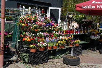 Sprzedaż zniczy i kwiatów w Święto Wszystkich Świętych. Czy konieczna jest zapłata podatku?