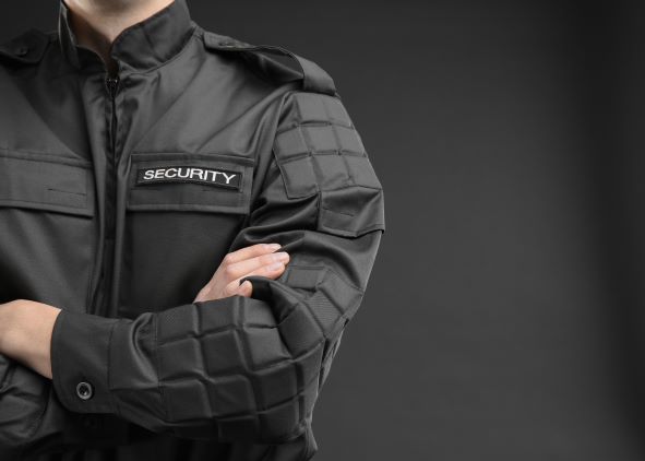 Roczny przegląd bazy danych gromadzonych dla celów ZFŚS