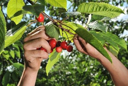 Zatrudnianie młodzieży w okresie wakacyjnym