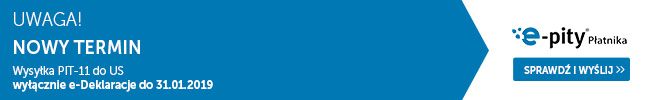 e-pity Płatnika 2018