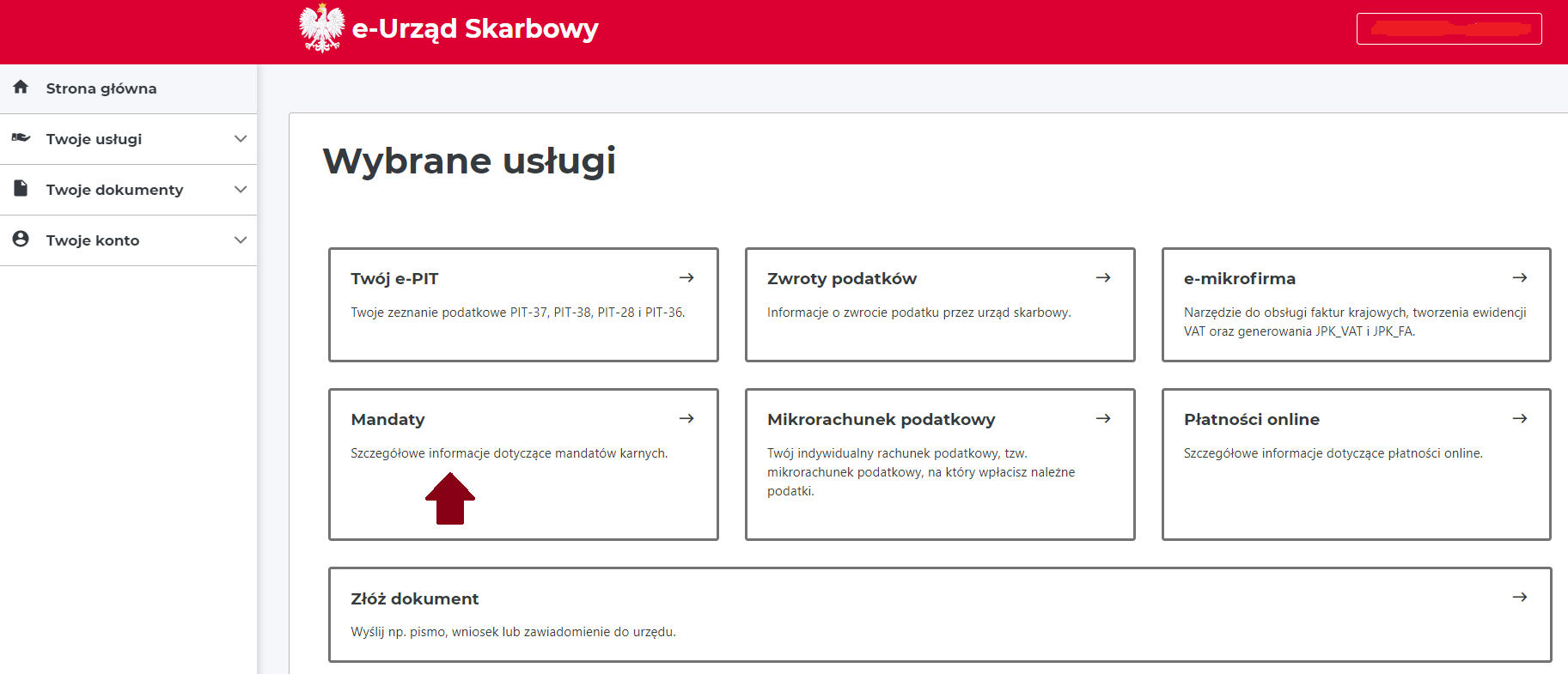 Jak krok po kroku zapłacić mandat karny