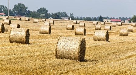 Opodatkowanie gruntów rolnych - zmiana przepisów