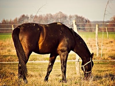 Zamiana gruntów rolnych a podatek PIT