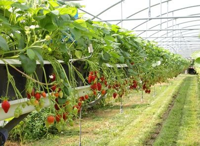 Już nie trzeba składać PIT-6/6L do końca listopada