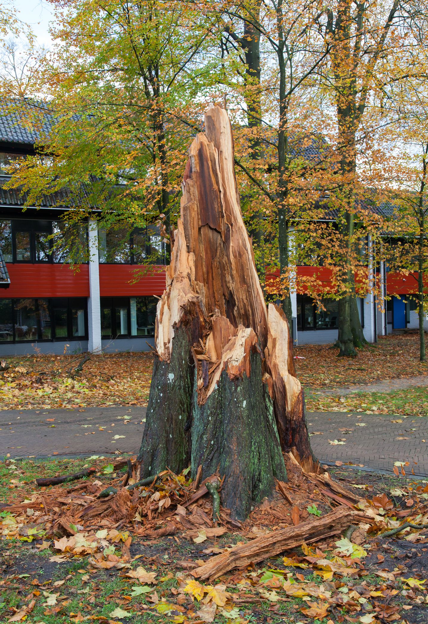 Darowizny dla poszkodowanych w nawałnicy bez podatku